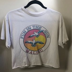 Brandy Melville Cropped Graphic Tee